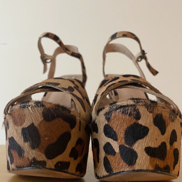 Steve Madden Leopard Wedges - Picture 10 of 16